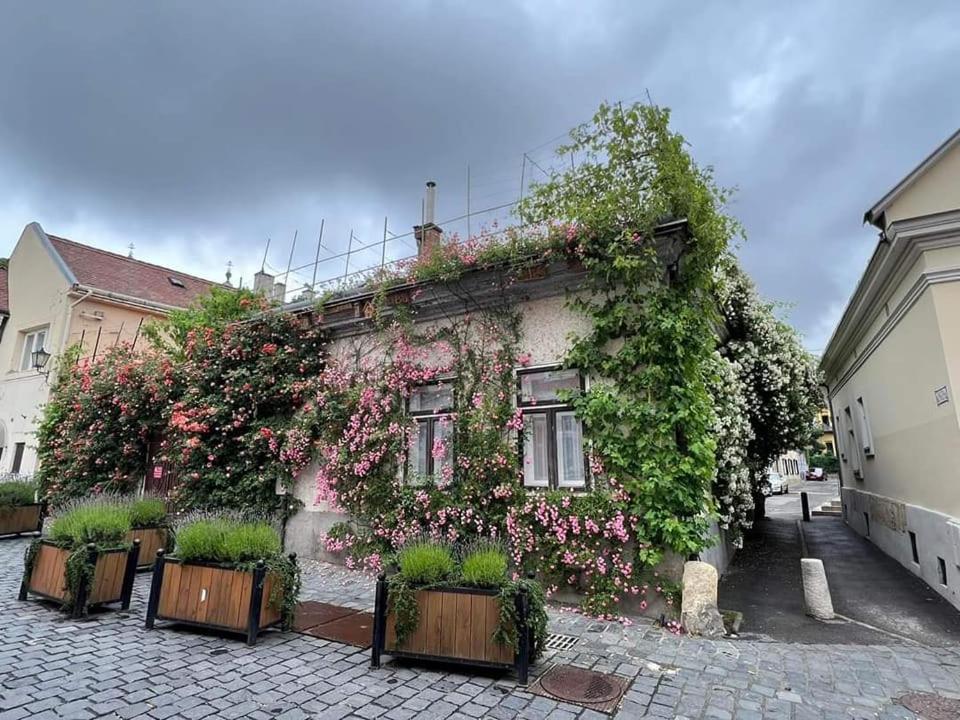 Downtown Romantic Секешфехервар Экстерьер фото